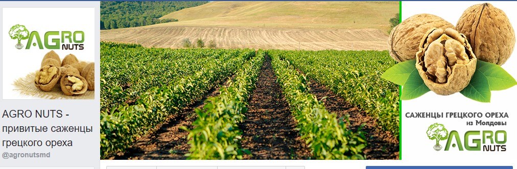 agrobiznes-v-sotsialnyih-setyah agrobiznes-v-sotsialnyih-setyah