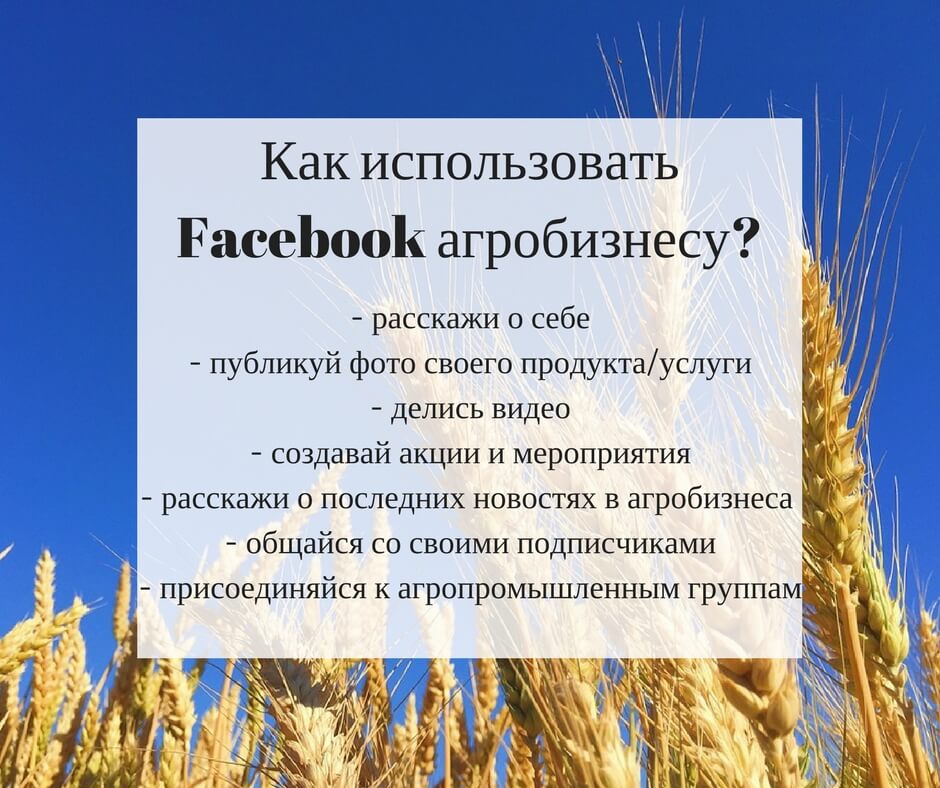 agrobiznes-v-sotsialnyih-setyah agrobiznes-v-sotsialnyih-setyah