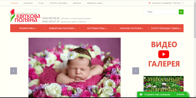 Растения для сада Rasteniya-dlya-sada