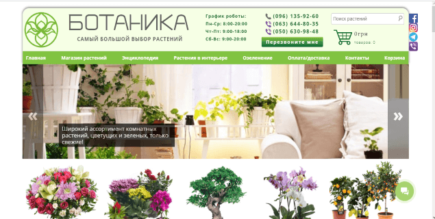 Растения для сада rastenia-dlya-sada