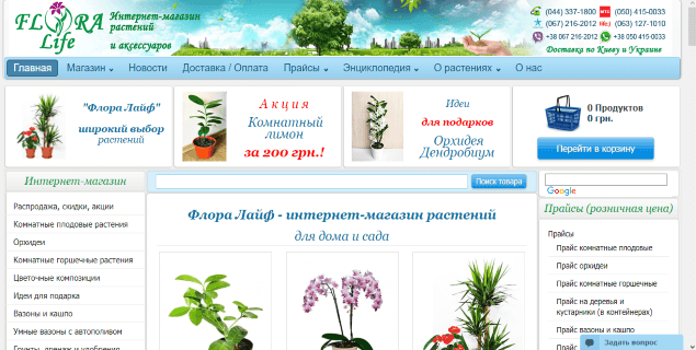 Растения для сада rastenia-dlya-sada