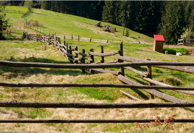 zaboru-ukrainu zaboru-ukrainu
