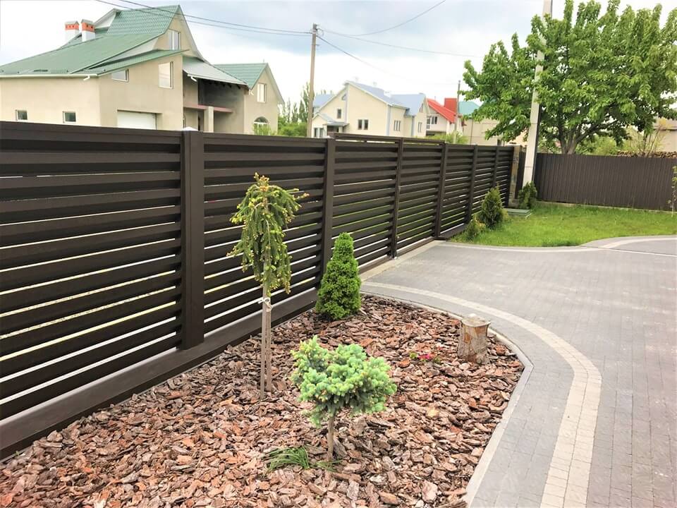 Rastenia -vozle-zabora Rastenia -vozle-zabora