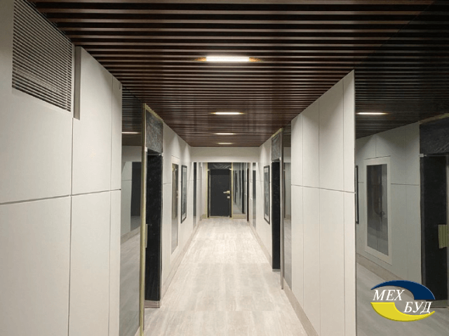 potolok (11) potolok (11)