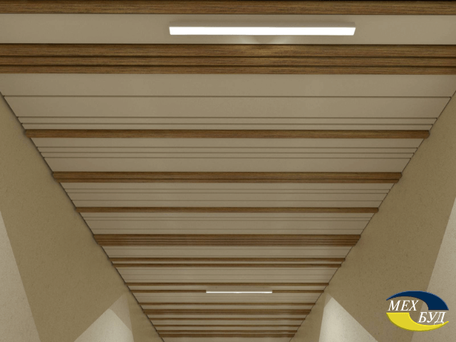 stelya-6-1 stelya-6-1