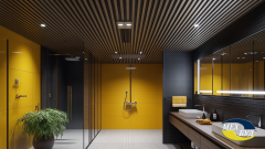 zovmarketing A hotel guest bath features a ceiling in RAL 703 3e69c672 b986 4829 87b4 02f40a0c732b 1