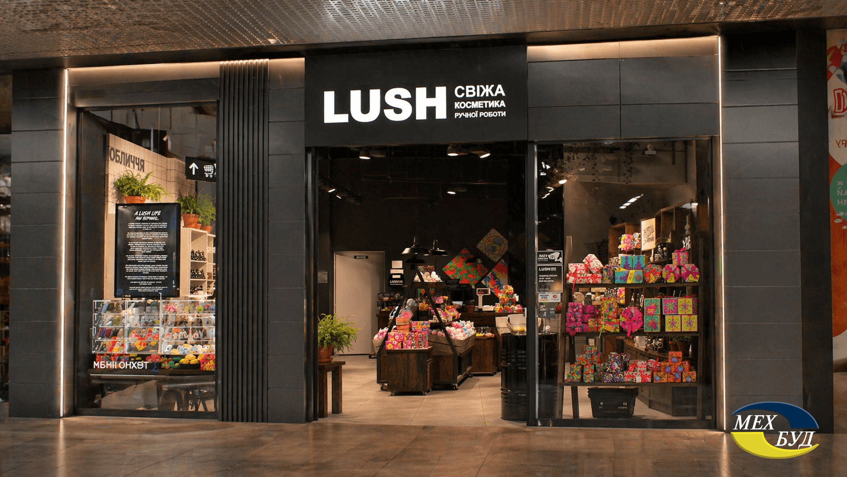 5 LUSH 5 LUSH